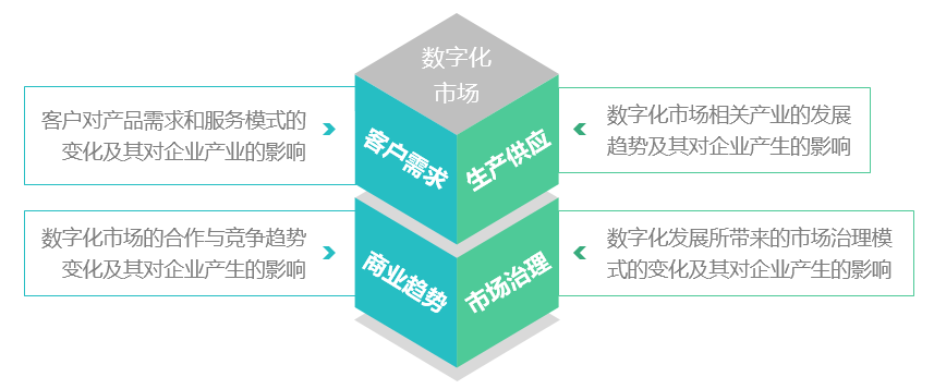 中大咨询数字化市场服务