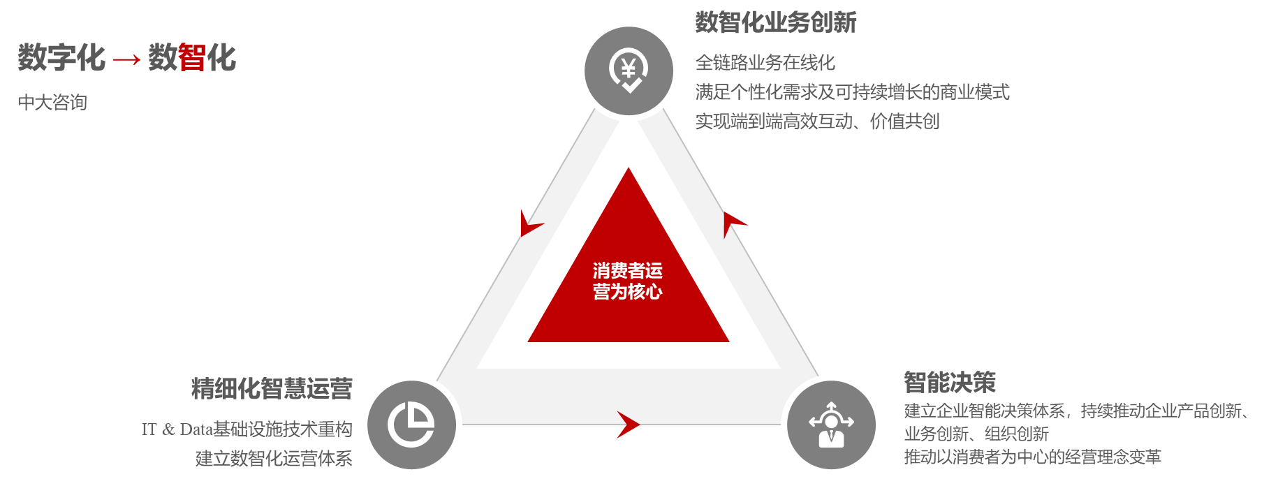 中大咨询数智化创新解决方案